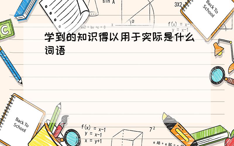 学到的知识得以用于实际是什么词语