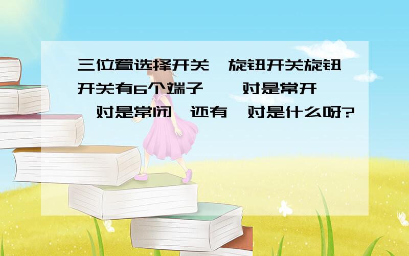 三位置选择开关,旋钮开关旋钮开关有6个端子,一对是常开,一对是常闭,还有一对是什么呀?