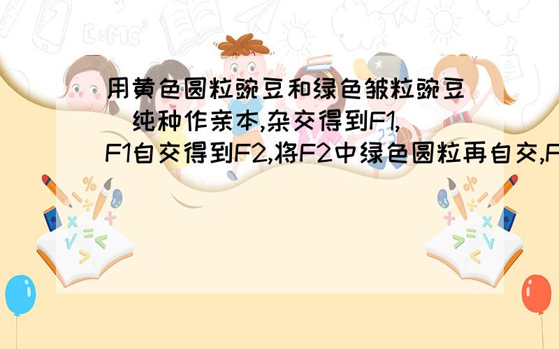 用黄色圆粒豌豆和绿色皱粒豌豆（纯种作亲本,杂交得到F1,F1自交得到F2,将F2中绿色圆粒再自交,F3中.F3中绿色圆粒豌豆占?A.5\6 B.1\4 C.1\2 D.1\8