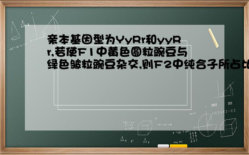 亲本基因型为YyRr和yyRr,若使F1中黄色圆粒豌豆与绿色皱粒豌豆杂交,则F2中纯合子所占比例为多少?答案为1/16为什么?其中Y,R是显性