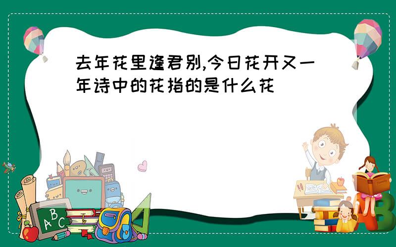 去年花里逢君别,今日花开又一年诗中的花指的是什么花