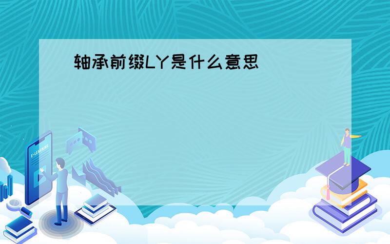 轴承前缀LY是什么意思