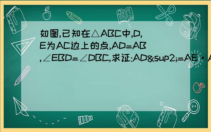 如图,已知在△ABC中,D,E为AC边上的点,AD=AB,∠EBD=∠DBC,求证:AD²=AE·AC