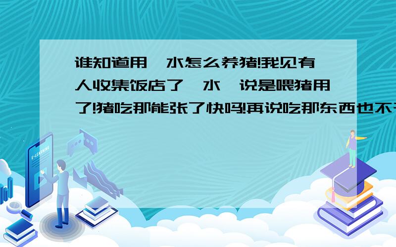 谁知道用馊水怎么养猪!我见有人收集饭店了馊水,说是喂猪用了!猪吃那能张了快吗!再说吃那东西也不干净,容易发病吧!人家是怎么喂得!那样成本相当低啊!