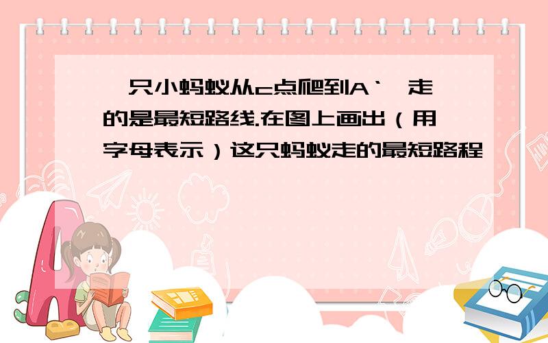 一只小蚂蚁从c点爬到A‘,走的是最短路线.在图上画出（用字母表示）这只蚂蚁走的最短路程