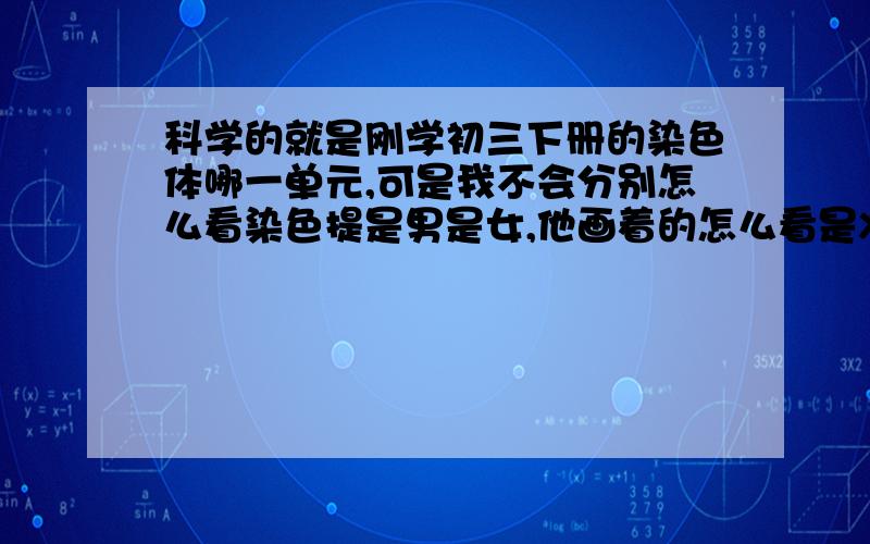 科学的就是刚学初三下册的染色体哪一单元,可是我不会分别怎么看染色提是男是女,他画着的怎么看是X还是Y,明明是一些不规则图形,看不懂!,教下怎么看图再问个行不,演化与进化有什么分别