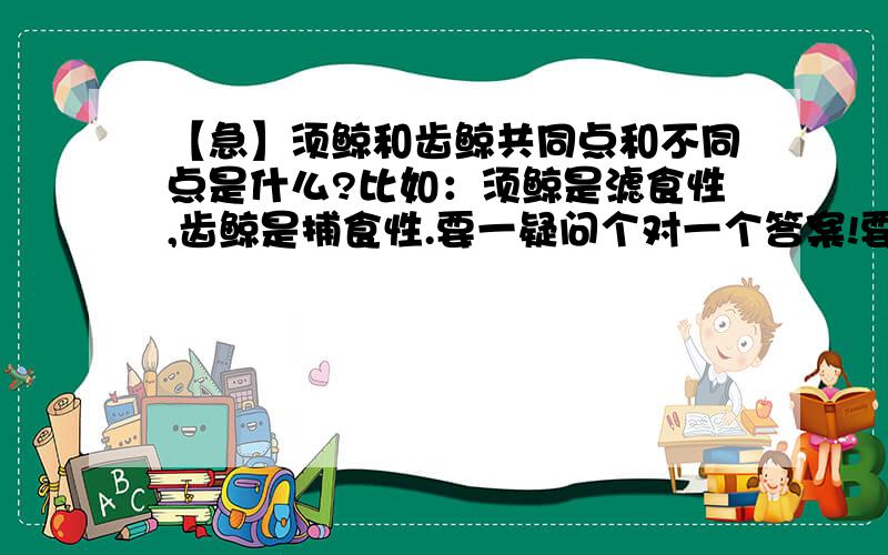 【急】须鲸和齿鲸共同点和不同点是什么?比如：须鲸是滤食性,齿鲸是捕食性.要一疑问个对一个答案!要多 至少 4个