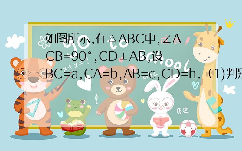 如图所示,在△ABC中,∠ACB=90°,CD⊥AB,设BC=a,CA=b,AB=c,CD=h.（1)判别c+h与a+b的大小关系,并说明理由（2）猜想以a+b,h,c+h为边的三角形是什么三角形?并说明理由