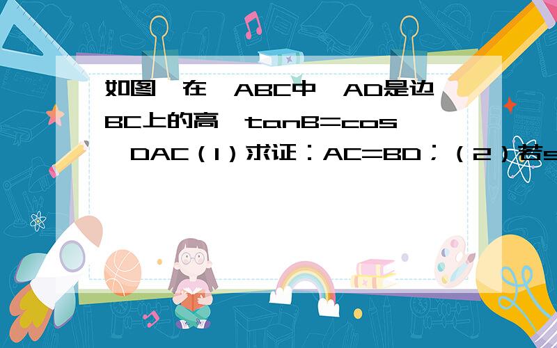 如图,在△ABC中,AD是边BC上的高,tanB=cos∠DAC（1）求证：AC=BD；（2）若sin∠C=12/13,BC=12,求tanB．