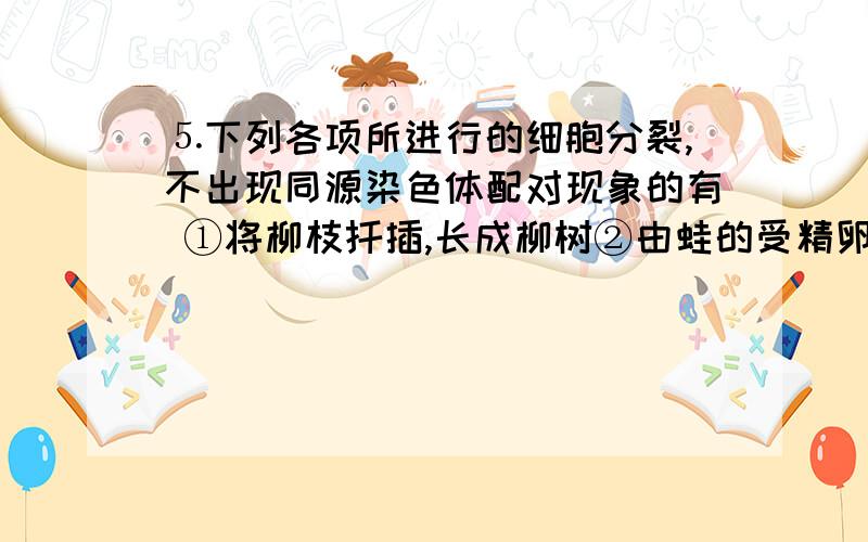 ⒌下列各项所进行的细胞分裂,不出现同源染色体配对现象的有 ①将柳枝扦插,长成柳树②由蛙的受精卵发育成蝌蚪③小鼠骨髓瘤细胞与淋巴细胞融合,得到的融合细胞大量繁殖④雄蜂产生精子