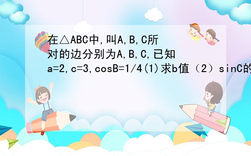 在△ABC中,叫A,B,C所对的边分别为A,B,C,已知a=2,c=3,cosB=1/4(1)求b值（2）sinC的值