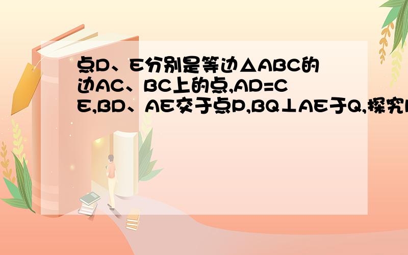 点D、E分别是等边△ABC的边AC、BC上的点,AD=CE,BD、AE交于点P,BQ⊥AE于Q,探究PQ与PB之间的数量关系