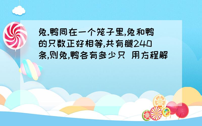 兔.鸭同在一个笼子里,兔和鸭的只数正好相等,共有腿240条,则兔,鸭各有多少只 用方程解