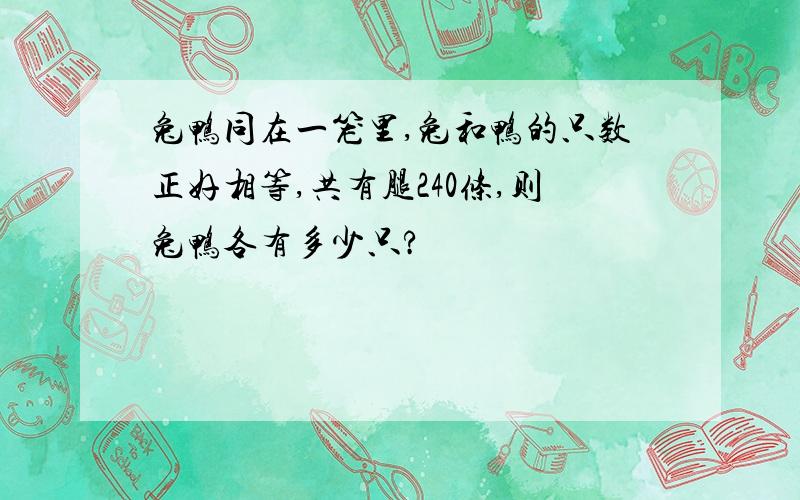 兔鸭同在一笼里,兔和鸭的只数正好相等,共有腿240条,则兔鸭各有多少只?