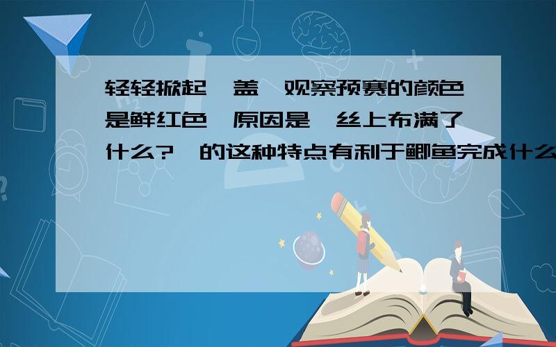 轻轻掀起鳃盖,观察预赛的颜色是鲜红色,原因是鳃丝上布满了什么?鳃的这种特点有利于鲫鱼完成什么?