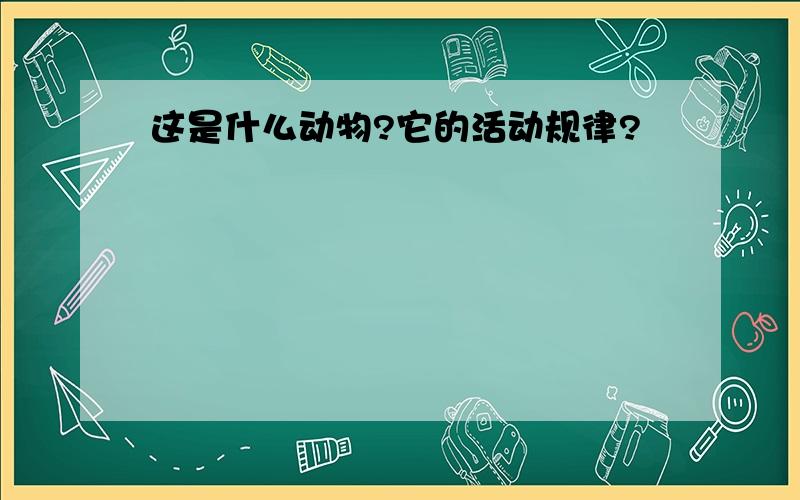 这是什么动物?它的活动规律?