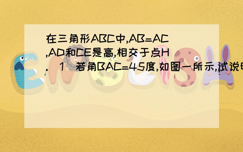 在三角形ABC中,AB=AC,AD和CE是高,相交于点H.（1）若角BAC=45度,如图一所示,试说明AH=2BD（2）若角BAC=135度,（1）中的结论是否依然成立?请在图2中画出图形并有条理地说明你的结论.一定要在2点中之