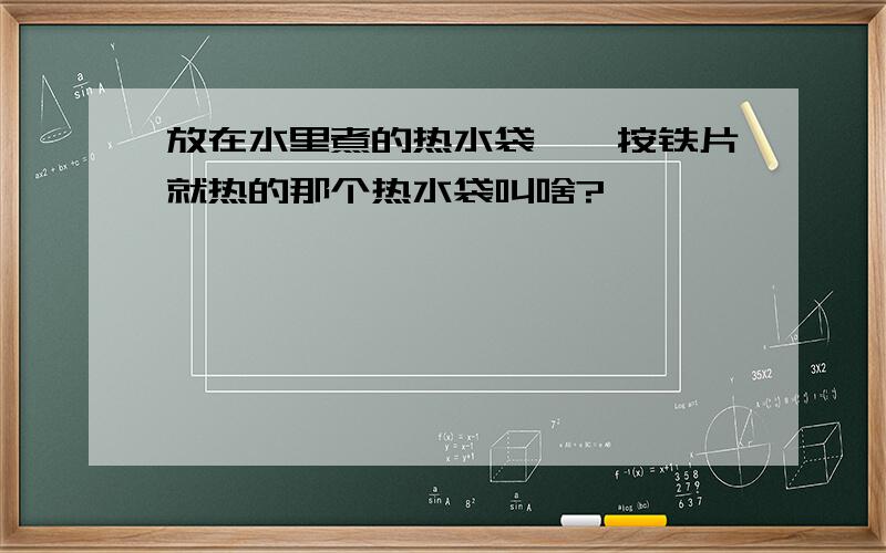 放在水里煮的热水袋,一按铁片就热的那个热水袋叫啥?