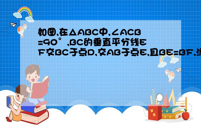 如图,在△ABC中,∠ACB=90°,BC的垂直平分线EF交BC于点D,交AB于点E,且BE=BF,添加一个条件,仍不能证明四边形BECF为正方形的是( )A. BC=ACB. CF⊥BFC. BD=DFD. AC=BF