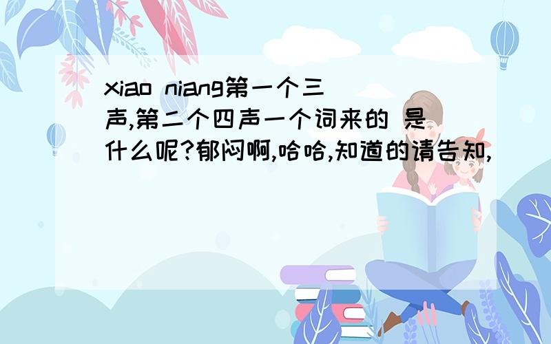 xiao niang第一个三声,第二个四声一个词来的 是什么呢?郁闷啊,哈哈,知道的请告知,