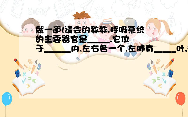 就一道!请会的教教.呼吸系统的主要器官是_____.它位于______内,左右各一个,左肺有_____叶,右肺有______叶.