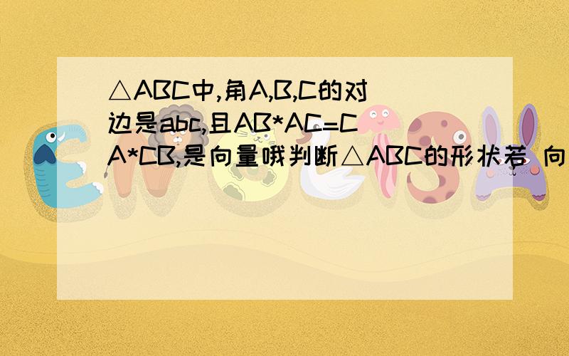 △ABC中,角A,B,C的对边是abc,且AB*AC=CA*CB,是向量哦判断△ABC的形状若 向量 CA*CB=8 求b的值