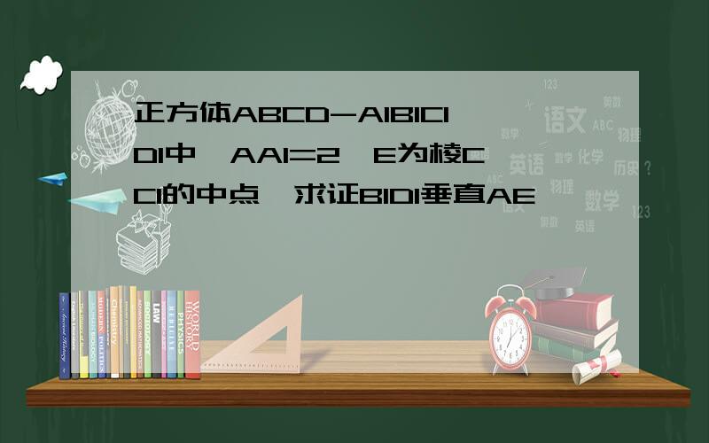 正方体ABCD-A1B1C1D1中,AA1=2,E为棱CC1的中点,求证B1D1垂直AE