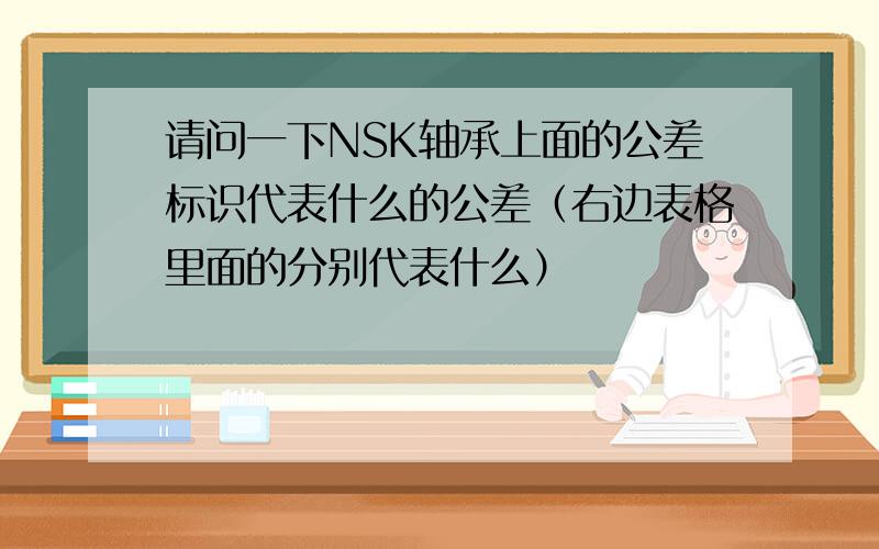 请问一下NSK轴承上面的公差标识代表什么的公差（右边表格里面的分别代表什么）