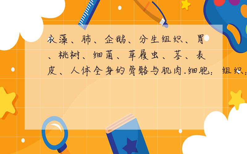 衣藻、肺、企鹅、分生组织、胃、桃树、细菌、草履虫、茎、表皮、人体全身的骨骼与肌肉.细胞：组织：器官：系统：个体：