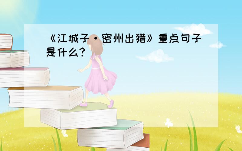 《江城子·密州出猎》重点句子是什么?