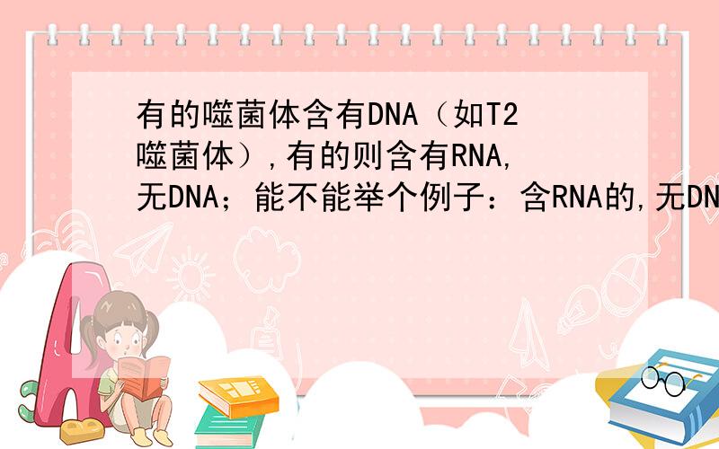 有的噬菌体含有DNA（如T2噬菌体）,有的则含有RNA,无DNA；能不能举个例子：含RNA的,无DNA的?