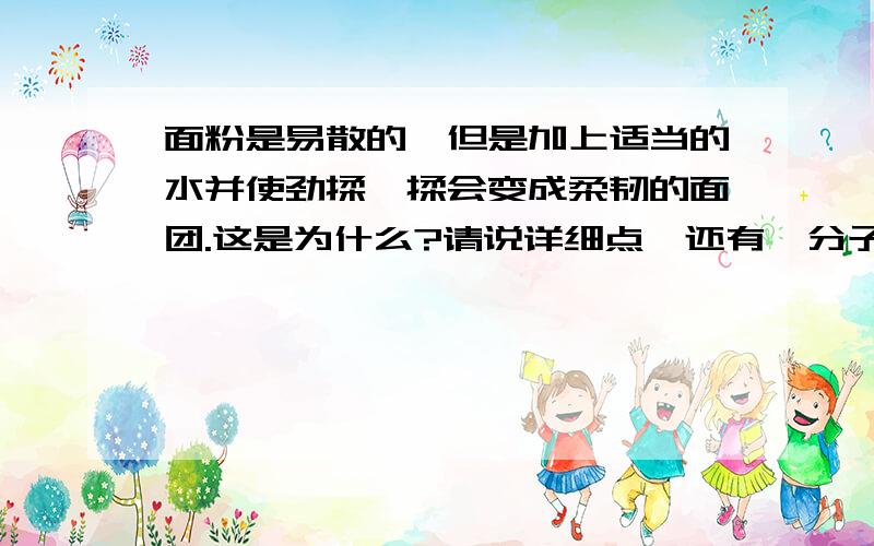 面粉是易散的,但是加上适当的水并使劲揉一揉会变成柔韧的面团.这是为什么?请说详细点,还有,分子间的间距与引力斥力为什么有关系?