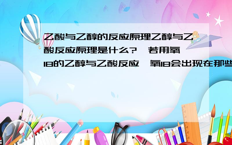 乙酸与乙醇的反应原理乙醇与乙酸反应原理是什么?  若用氧18的乙醇与乙酸反应,氧18会出现在那些物质中?