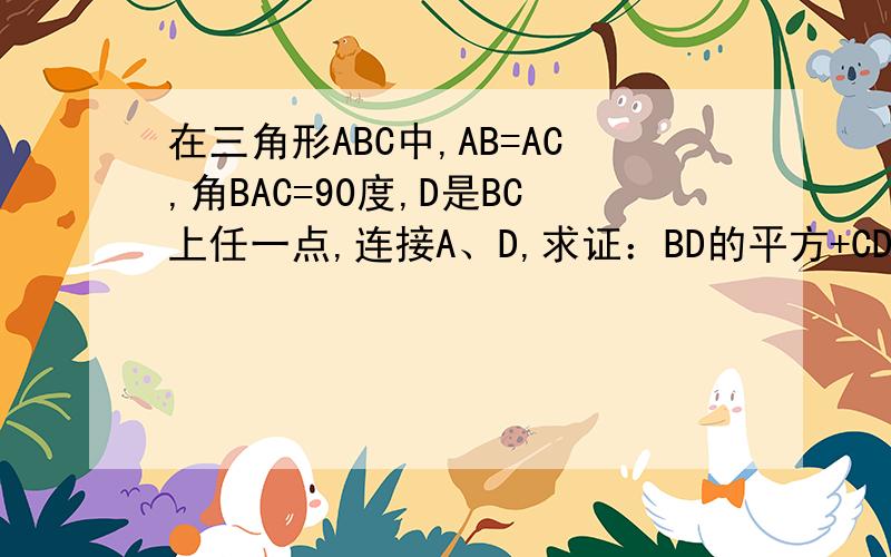在三角形ABC中,AB=AC,角BAC=90度,D是BC上任一点,连接A、D,求证：BD的平方+CD的平方=2乘以AD的平方.