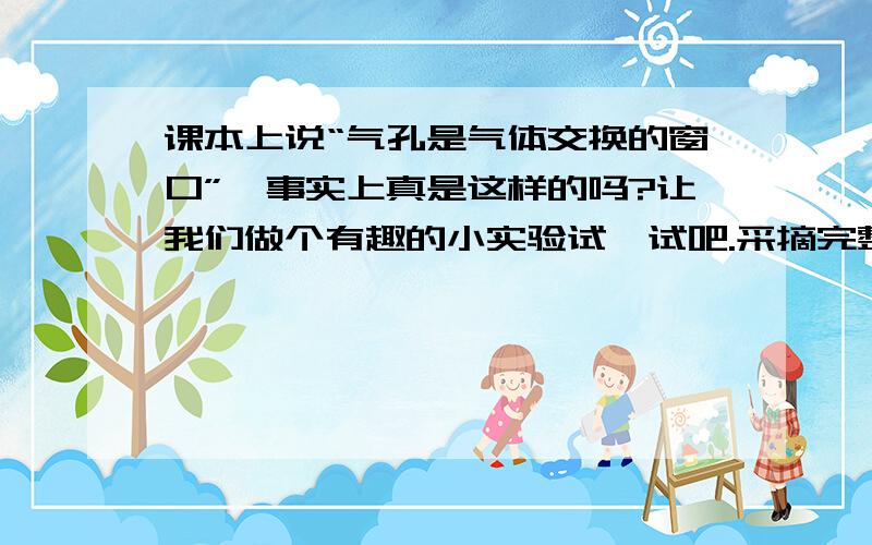 课本上说“气孔是气体交换的窗口”,事实上真是这样的吗?让我们做个有趣的小实验试一试吧.采摘完整的空心菜叶片,放在通风处一段时间,实验时将空心菜浸在水中,然后取一支20毫升的注射