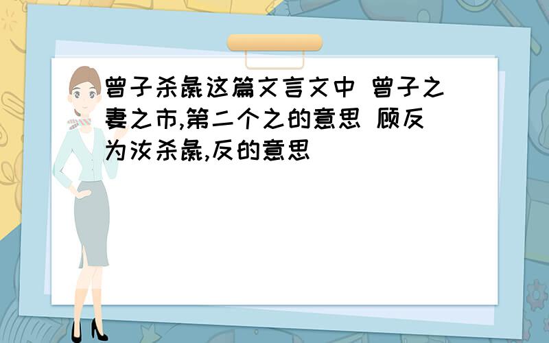 曾子杀彘这篇文言文中 曾子之妻之市,第二个之的意思 顾反为汝杀彘,反的意思