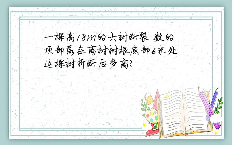 一棵高18m的大树断裂 数的顶部落在离树树根底部6米处 这棵树折断后多高?