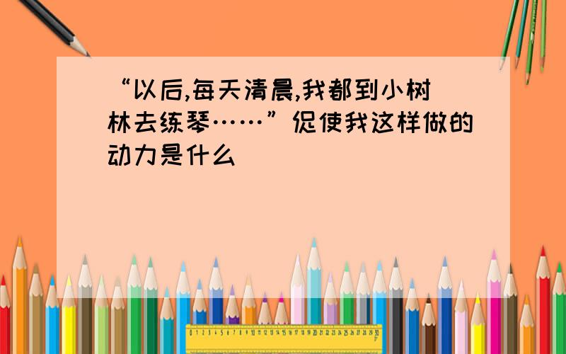 “以后,每天清晨,我都到小树林去练琴……”促使我这样做的动力是什么