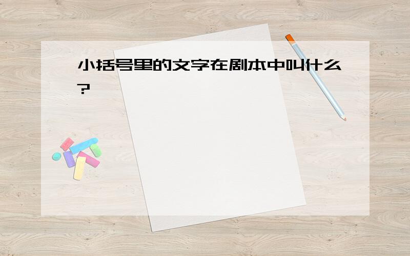 小括号里的文字在剧本中叫什么?