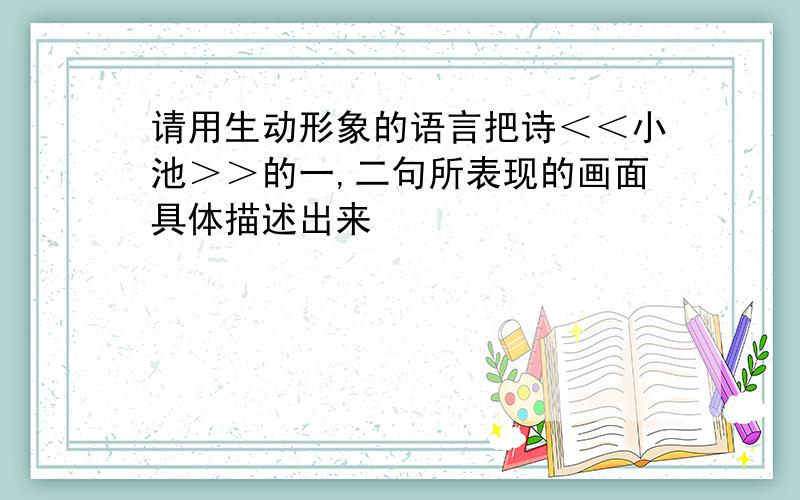 请用生动形象的语言把诗＜＜小池＞＞的一,二句所表现的画面具体描述出来