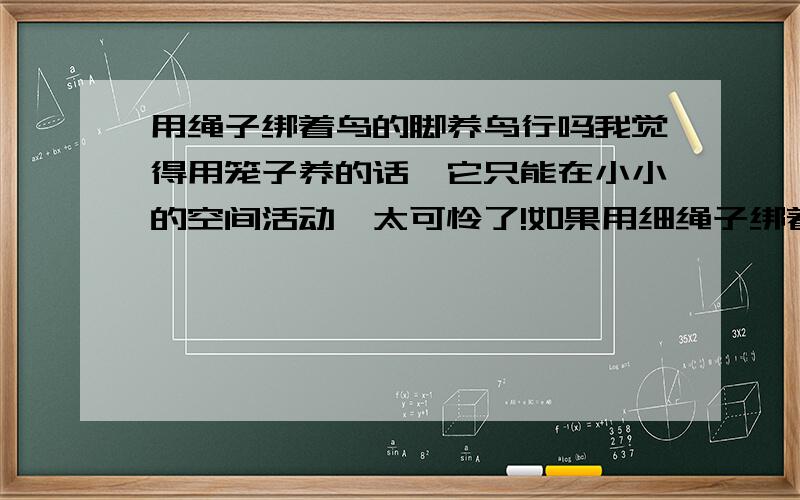 用绳子绑着鸟的脚养鸟行吗我觉得用笼子养的话,它只能在小小的空间活动,太可怜了!如果用细绳子绑着它的脚,大概有一米以上的长度,让它在这个范围内活动,