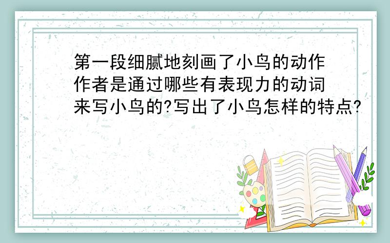 第一段细腻地刻画了小鸟的动作作者是通过哪些有表现力的动词来写小鸟的?写出了小鸟怎样的特点?