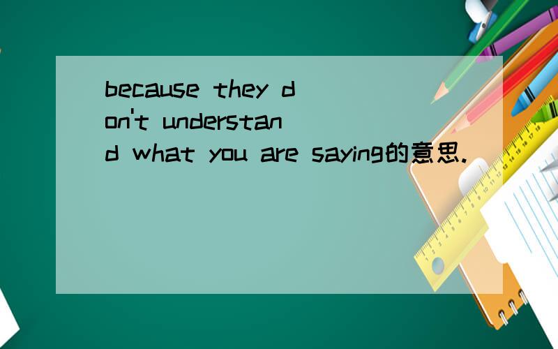 because they don't understand what you are saying的意思.