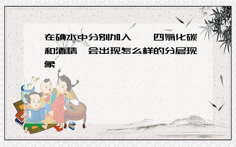 在碘水中分别加入苯,四氯化碳和酒精,会出现怎么样的分层现象