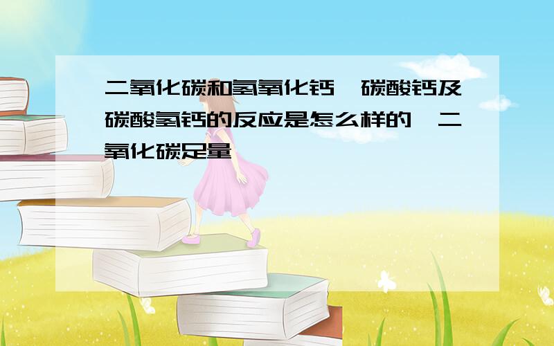 二氧化碳和氢氧化钙、碳酸钙及碳酸氢钙的反应是怎么样的,二氧化碳足量