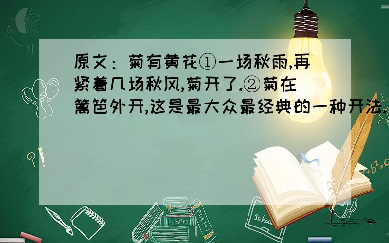 原文：菊有黄花①一场秋雨,再紧着几场秋风,菊开了.②菊在篱笆外开,这是最大众最经典的一种开法.历来入得诗的菊,都是以这般姿势开着的.一大丛一大丛的.③倚着篱笆,是篱笆家养的女儿,娇