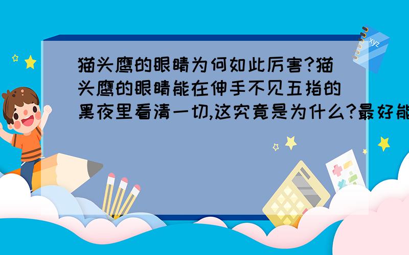 猫头鹰的眼睛为何如此厉害?猫头鹰的眼睛能在伸手不见五指的黑夜里看清一切,这究竟是为什么?最好能说得易懂一些,六十字左右.