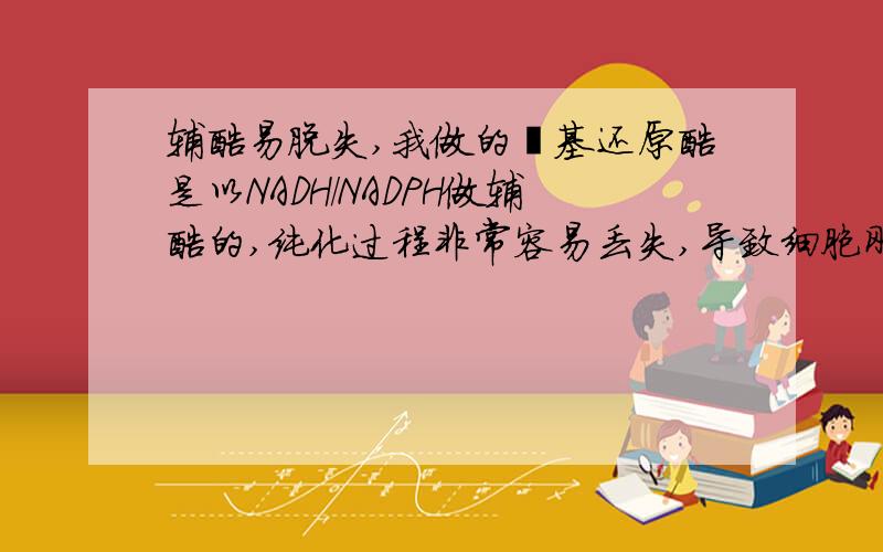 辅酶易脱失,我做的羰基还原酶是以NADH/NADPH做辅酶的,纯化过程非常容易丢失,导致细胞刚刚破碎时活性很高,但很快就失活了,甚至来不及进行任何纯化.请问各位有否方法可以保留辅酶?还是要