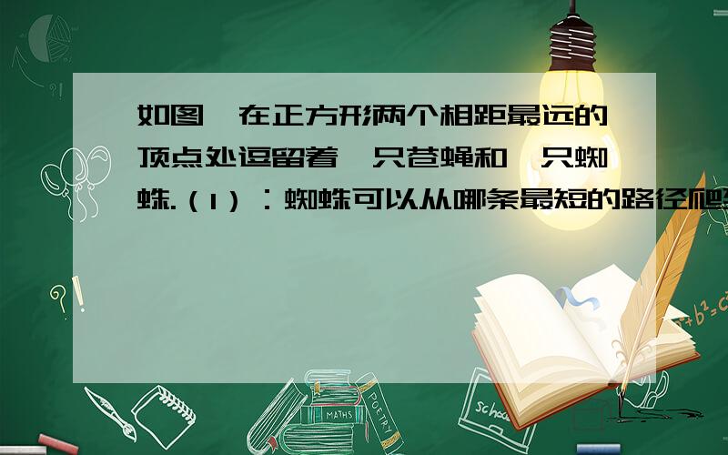 如图,在正方形两个相距最远的顶点处逗留着一只苍蝇和一只蜘蛛.（1）：蜘蛛可以从哪条最短的路径爬到苍蝇处?说明你的理由（2):如果蜘蛛要沿着棱爬到苍蝇处,最短的路线有几条