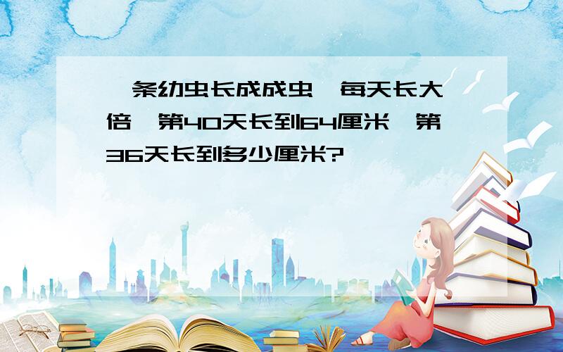 一条幼虫长成成虫,每天长大一倍,第40天长到64厘米,第36天长到多少厘米?